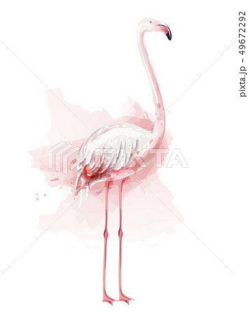 Illustration Flamingo Watercolor