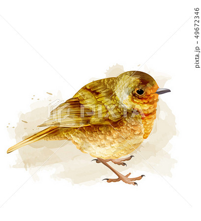Small sparrow vector watercolor. cute bird Small sparrow vector watercolor. cute bird 49672346
