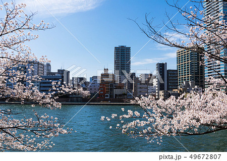 (東京都-都市風景)ウォーターフロント新川沿いの風景１７ 49672807