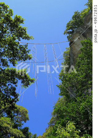 お綱掛け神社 お綱掛け神社 49672851