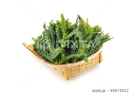 カーボロネロ カーボロネロ 49673022