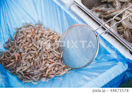 Seafood fish market in Asia Seafood fish market in Asia 49673578