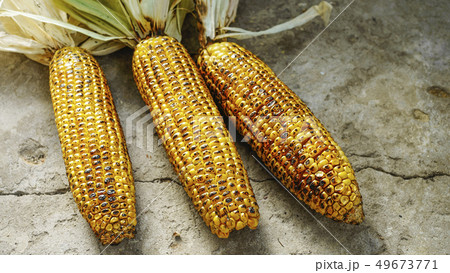 barbecue, Corn grill, macro, bbq America, Picnic, 49673771