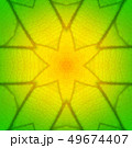 葉脈のテクスチャー 49674407