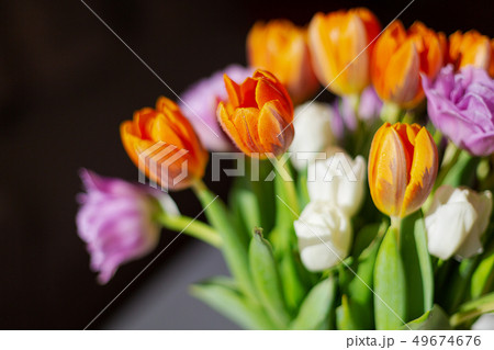 Bouquete of colorful spring tulips in a sunny day Bouquete of colorful spring tulips in a sunny day 49674676
