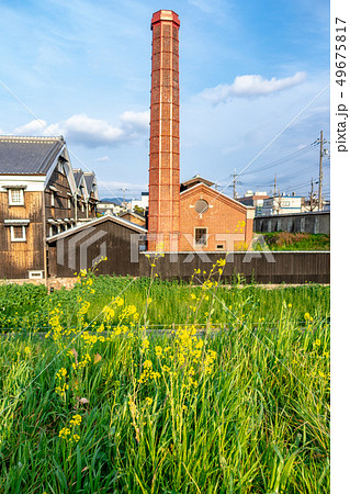 酒蔵・煉瓦煙突と菜の花 京都伏見 酒蔵・煉瓦煙突と菜の花 京都伏見 49675817