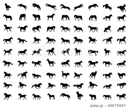 Big set of horses silhouettes on a white backgroun 49675897