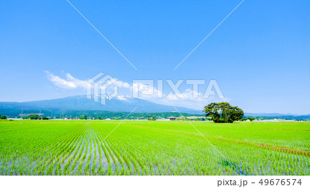 遊佐町から望む初夏の鳥海山 遊佐町から望む初夏の鳥海山 49676574