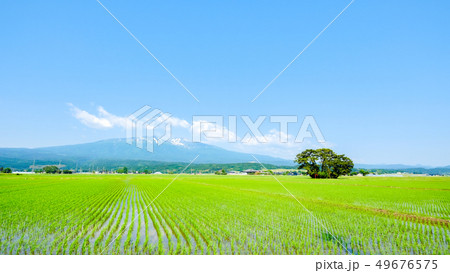遊佐町から望む初夏の鳥海山 遊佐町から望む初夏の鳥海山 49676575