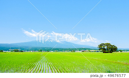 遊佐町から望む初夏の鳥海山 49676577