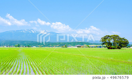 遊佐町から望む初夏の鳥海山 49676579