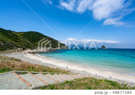 ハマンナ 49677389