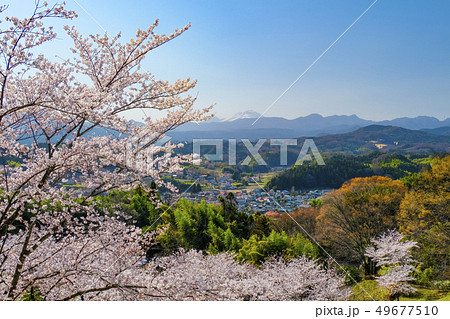 浅間山と桜 浅間山と桜 49677510