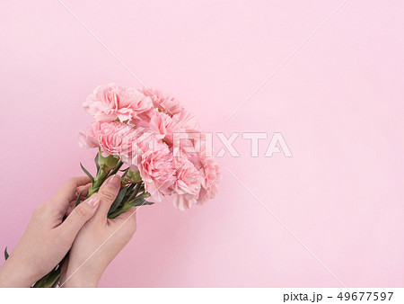 花 フラワー お花 49677597