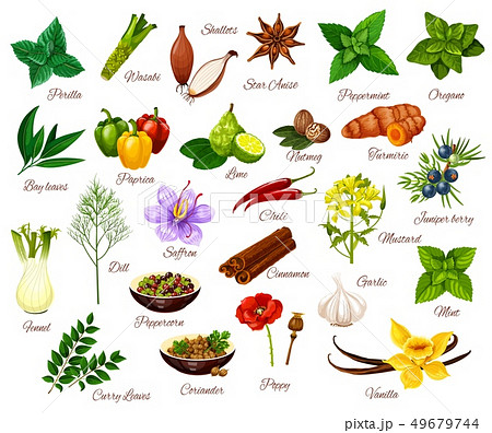 Spices, culinary herbs seasonings and vegetables 49679744