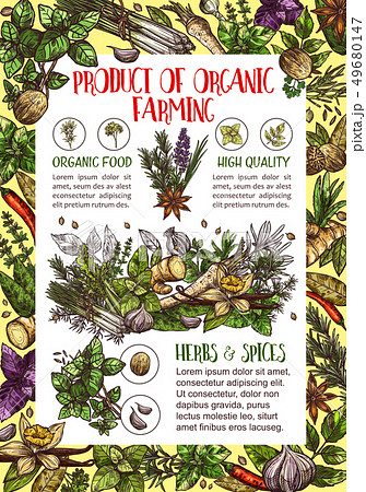 Organic spices, culinary herbs seasonings Organic spices, culinary herbs seasonings 49680147