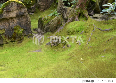 日本の庭 49680403