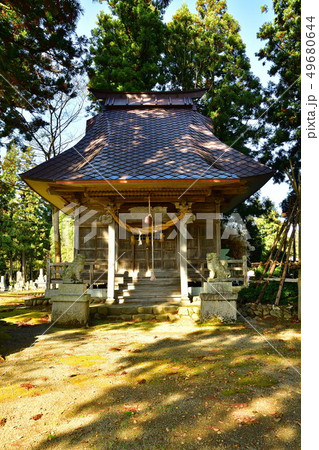 秋の高柳荻ノ島環状集落(新潟県) 秋の高柳荻ノ島環状集落(新潟県) 49680644