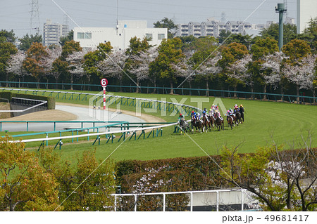 阪神競馬場 - 芝外回りコースを走る競走馬 49681417
