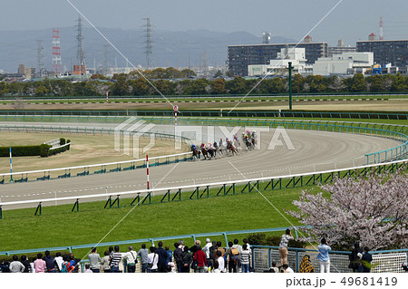 阪神競馬場 - 観衆とダートコースを走る競走馬 49681419