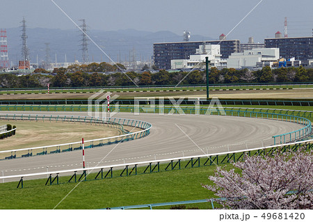 阪神競馬場 - 桜とダートコースのコーナー 49681420