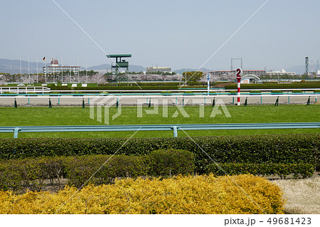 阪神競馬場 - 芝コース最後の直線(2) 49681423