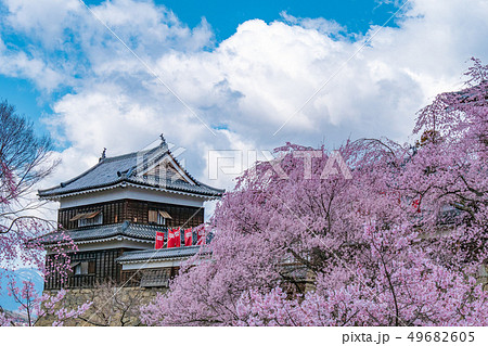 長野県上田市 上田城と桜 長野県上田市 上田城と桜 49682605