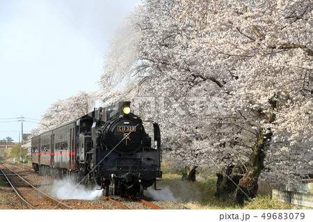 春の真岡鉄道SL 49683079