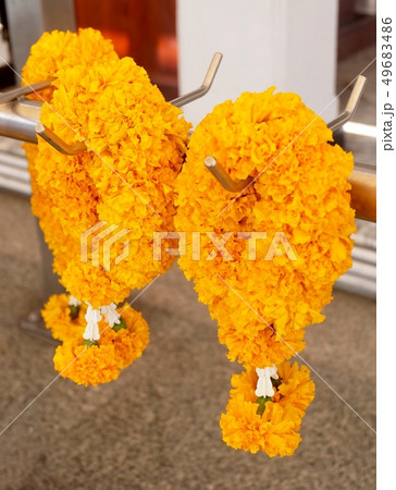 Yellow Marigolds Wreath Hanging on The Pole Yellow Marigolds Wreath Hanging on The Pole 49683486