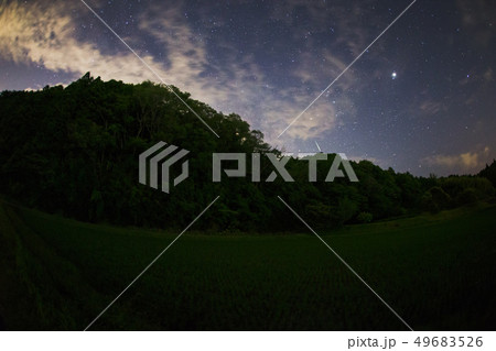 firefly and milky way  49683526