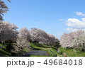 相模三川公園の桜 49684018