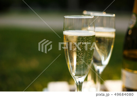 Glasses with champagne on green blurred Glasses with champagne on green blurred 49684080