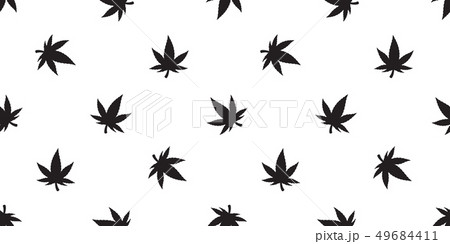 Marijuana seamless pattern weed vector cannabis  49684411