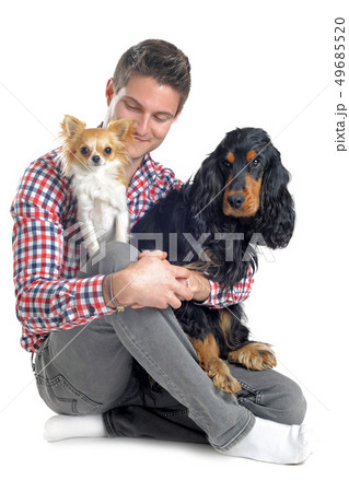 cocker, chihuahua and man cocker, chihuahua and man 49685520