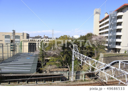 千葉市立船橋高等学校 49686533