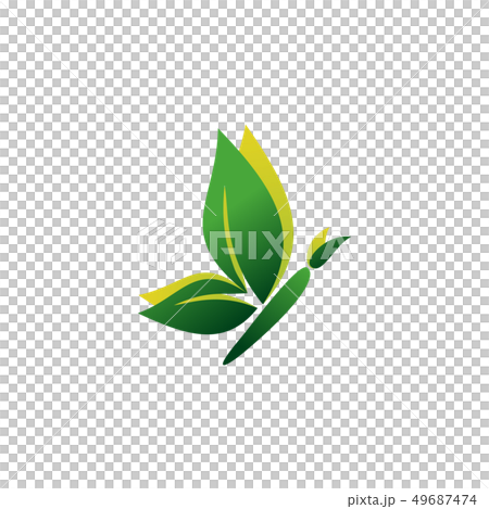 beauty green butterfly logo symbol icon design 49687474