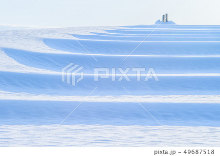 新潟県小千谷市　魚沼産コシヒカリの雪田の陰影と開拓記念碑 49687518