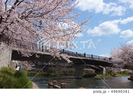 京都 春の伏見であい橋の写真素材