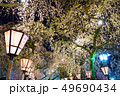三嶋大社 夜桜 Mishima Taisha Night cherry blossom 49690434