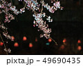 三嶋大社 枝垂れ桜 Mishima Taisha Night cherry blossom 49690435