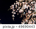三嶋大社 枝垂れ桜 Mishima Taisha Night cherry blossom 49690443