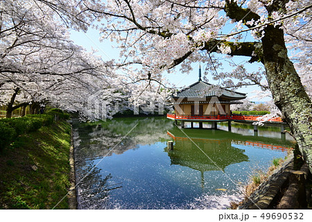 安部文珠院の桜 安部文珠院の桜 49690532