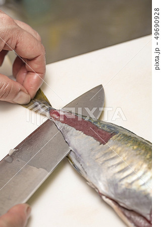 【鯵 三枚おろし】 【鯵 三枚おろし】 49690928