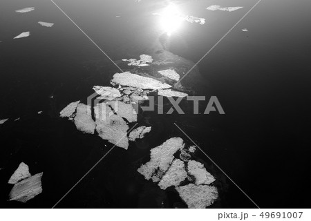 Melting ice on the water at sunny day. 49691007