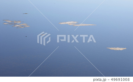 Melting ice on the water at sunny day. 49691008