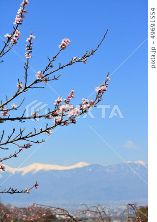 残雪の南アルプスを望む風景（山梨県） 49691554