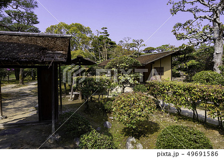 広島県福山市　福山城公園　福寿会館　庭園 49691586
