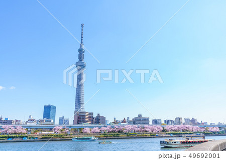 東京の春　隅田公園 桜まつり 49692001