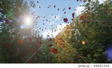 Autumn leaves fall from trees in autumn Park. Autumn colorful Park on a Sunny day. 3D Rendering Autumn leaves fall from trees in autumn Park. Autumn colorful Park on a Sunny day. 3D Rendering 49692349