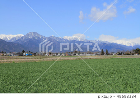 春の安曇野穂高 春の安曇野穂高 49693334